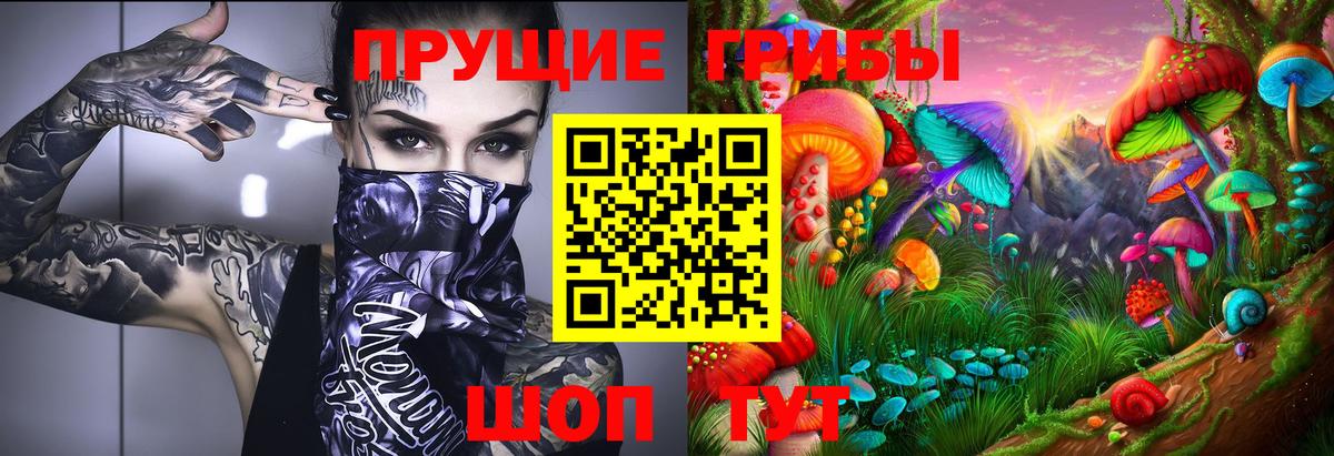 Галлюциногенные грибы MAGIC MUSHROOMS  цены наркотик  Кудрово  Вход с VPN 
